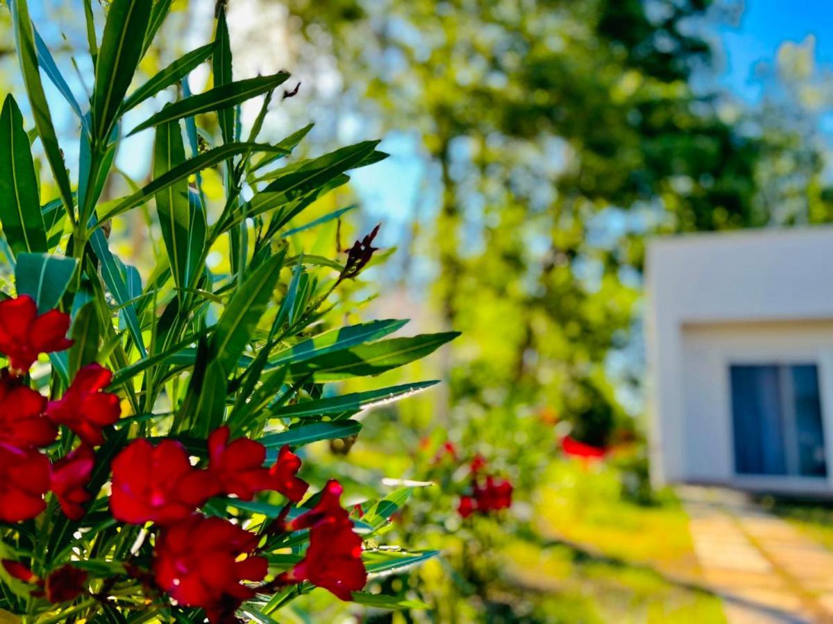 Garden Villas Дони-Штой Экстерьер фото
